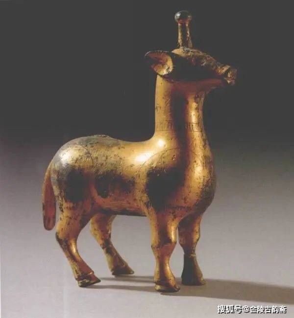 这真不是犀牛望月_麒麟_形象_长颈鹿