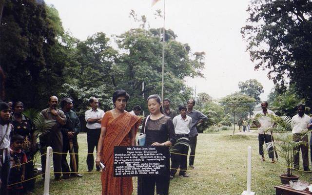 最终,许世吟娥的身份被确认为锡兰王子的后裔.