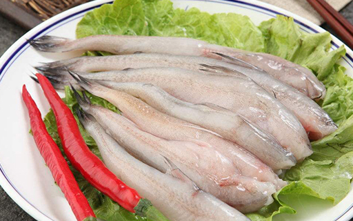 软嫩无刺味道鲜,世上居然还有如此美味的珍馐,它就是豆腐鱼_料酒_鱼肉