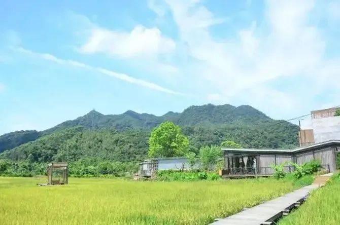 稻田酒店 · 珠三角地区最美民宿 | the best homestays_the_are