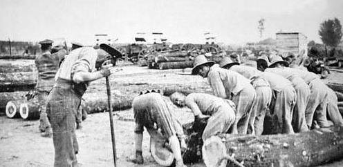 晚清时期华工的一部血泪史:海外"猪仔"_我国_中国