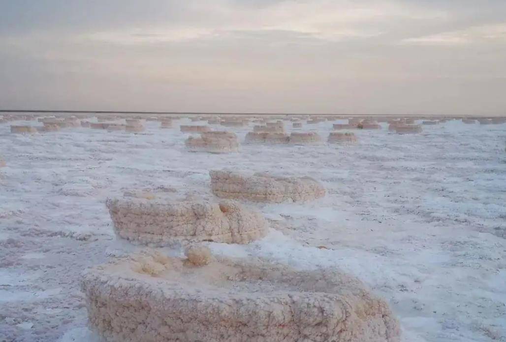 这里的钾矿,可能是世界上最大的硫酸型卤水钾盐矿床!在罗布泊发现的