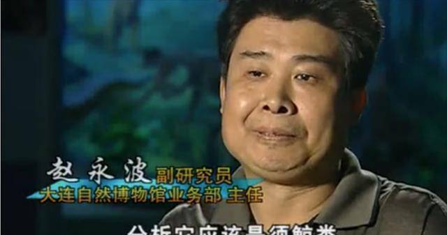 来自大连自然博物馆业务部主任赵永波表示,就自己在生物领域多年研究