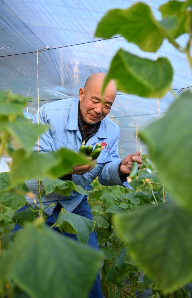 在后堡村的双碳科普教育基地内,水晶沙盘,智慧互动大屏,激光投影,arvr