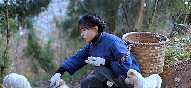 14岁辍学漂泊,曾当过酒吧dj,李子柒:所有的成功都不是偶然_视频_生活