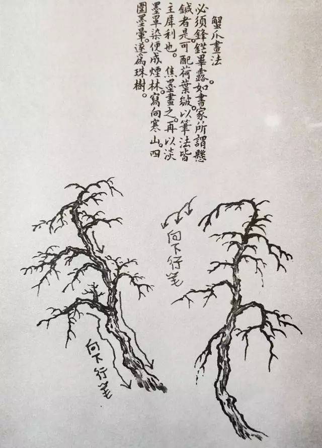 枯树纹身手稿图片