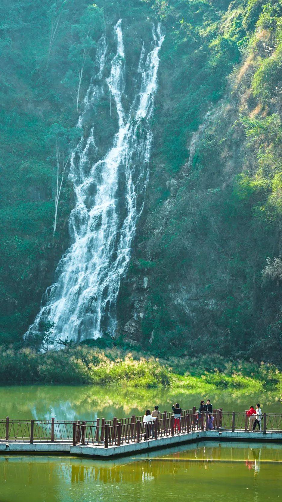 飞瀑探春,来东莞水濂山寻"龙"!_瀑布_溪流_登山