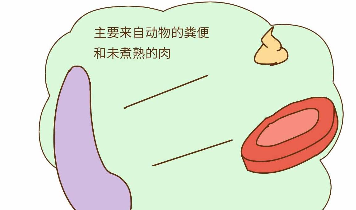 看完医生的解释,请你认真做决定_粪便_动物_孕妇