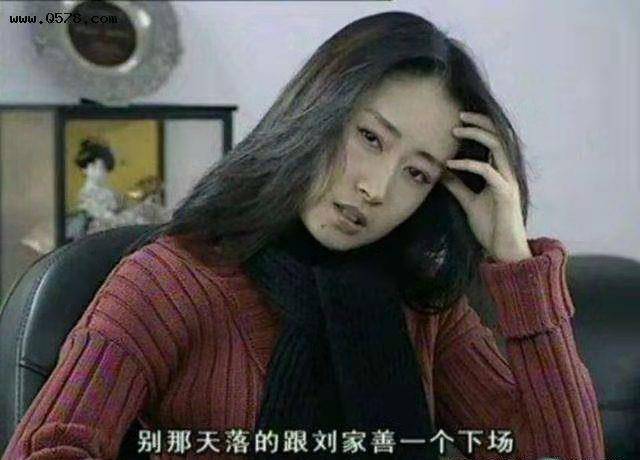 随后与《大宋提刑官2》王庆祥共同出演了知心聪明伶俐的英姑.