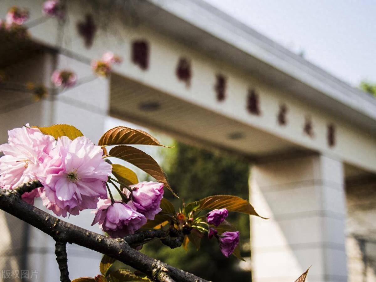 長沙醫學院全國大學排名_長沙醫學院綜合排名_長沙醫學院全國排名