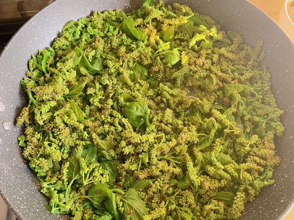 这种野果很多人吃过,却不知它的花也能吃,炒鸡蛋很,30