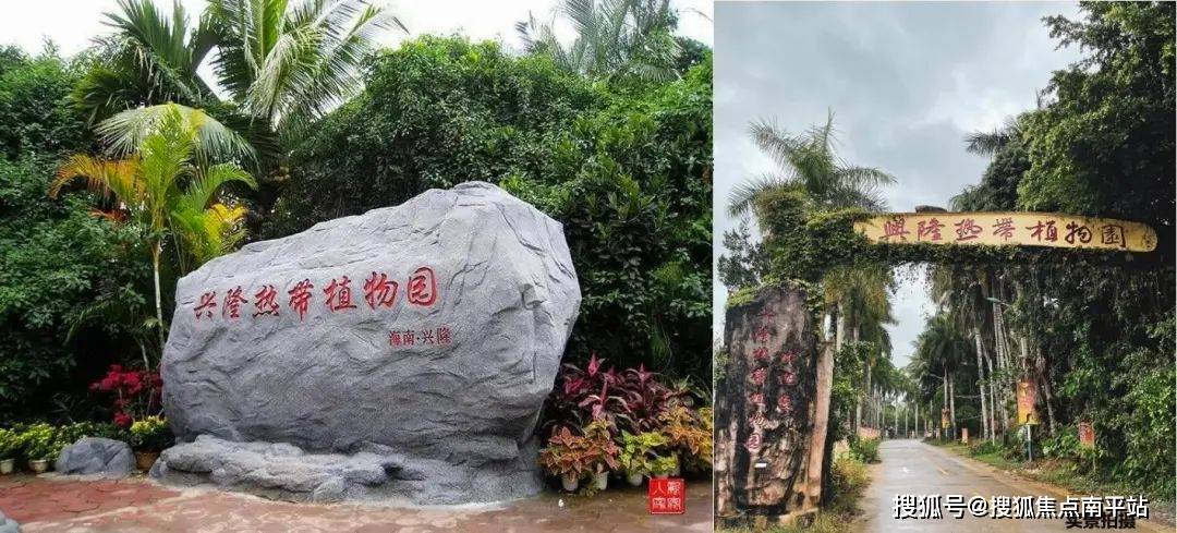 《十二道锋味》取景地(隆苑咖啡庄园)2022年已有16部影视作品万宁开机