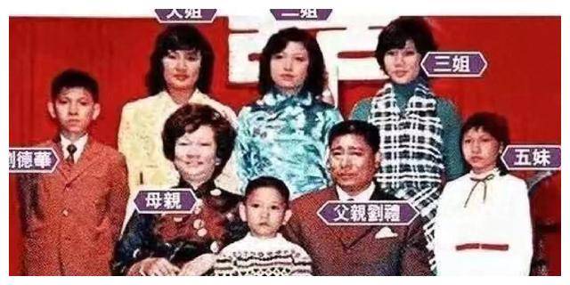 刘德华妈妈惊艳全场,鲁豫赞叹其非凡美丽_活动_母爱_人们