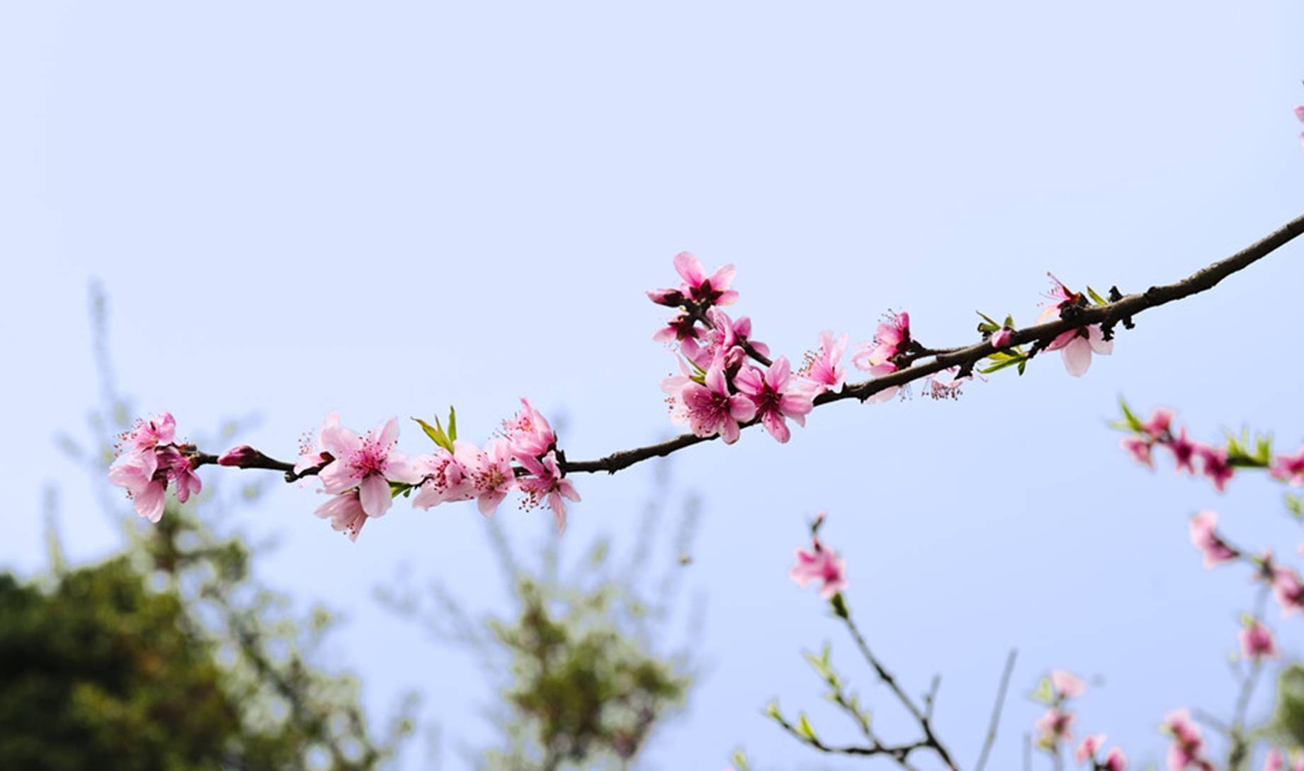 未来3周内,财运上等,收入自然节节高升的3大星座_工作