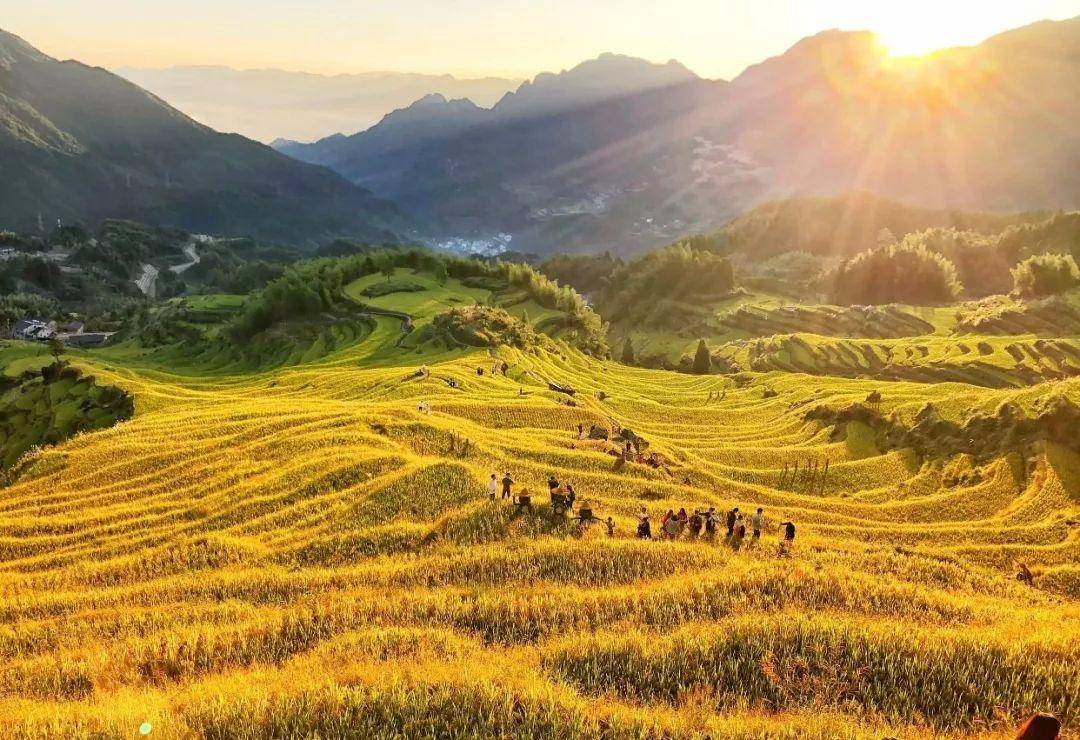 摄影之乡---浙江云和县_梯田_地方_湖畔