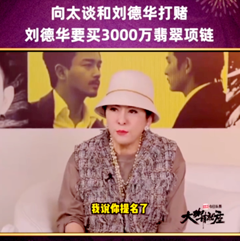 向太自曝和刘德华打赌,刘德华要买3000万翡翠项链,华仔还是输了_电影