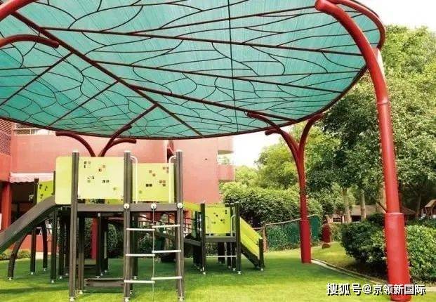 上海浦东德威外籍人员子女学校幼儿园:用教育实践为孩子插上飞向未来