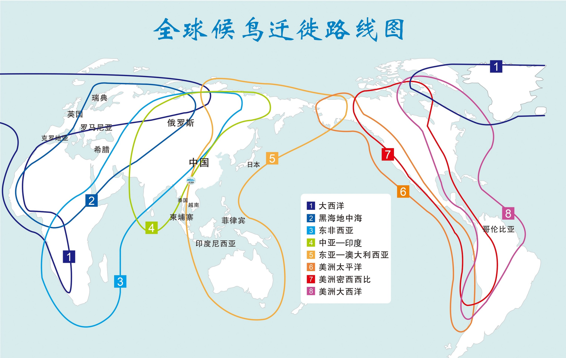 地嗅探空气中的各种气味分子,这能帮助它们判断方位和确认迁徙路线