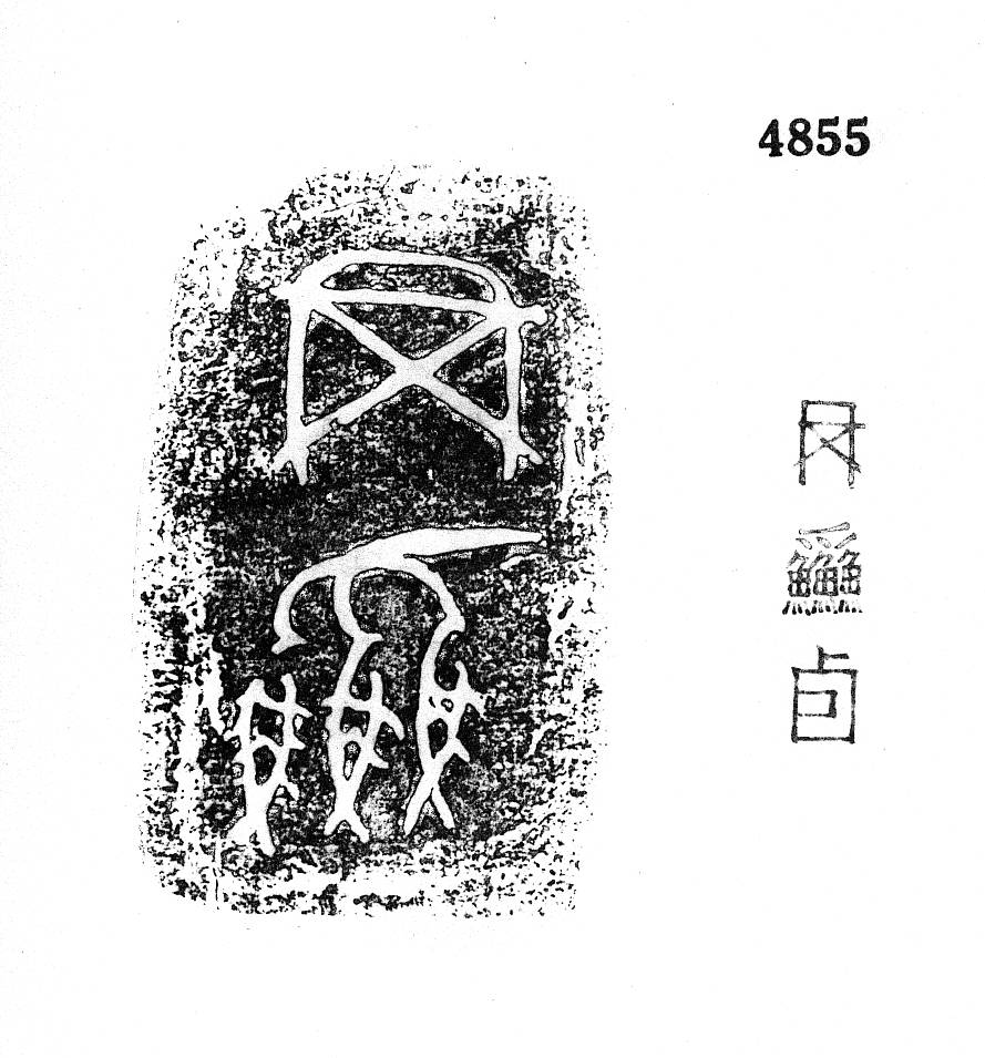 金文鱼字图片图片