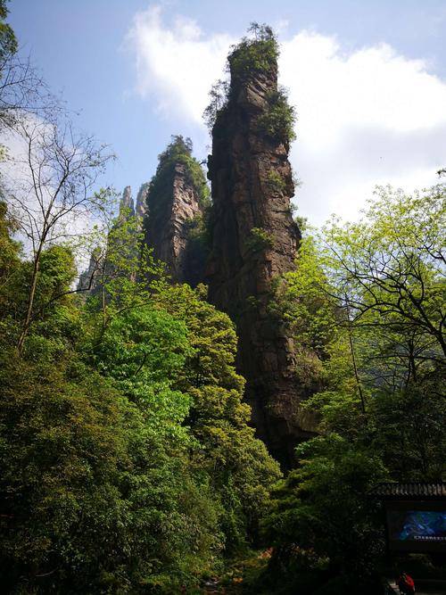 金鞭溪3天纯玩旅游攻略,金鞭溪3天线路攻略,亲身总结出来攻略_张家界