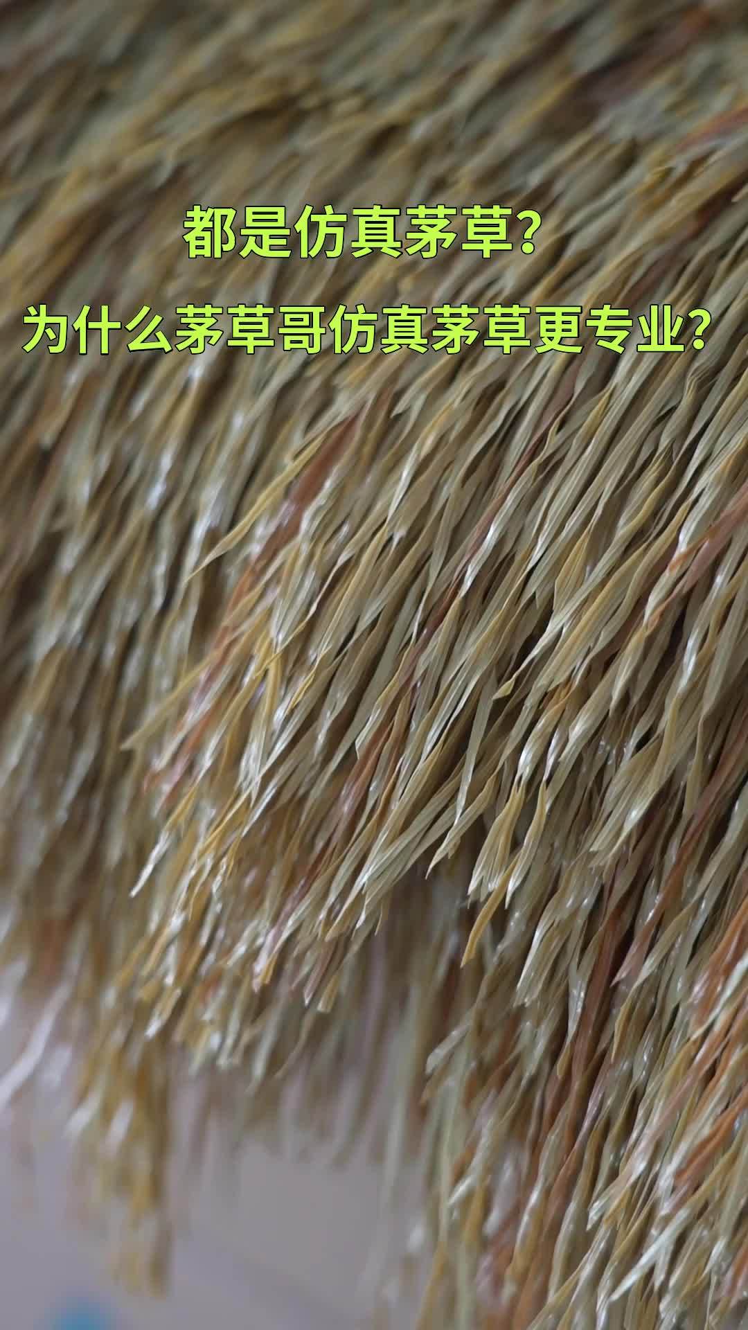 研究报告:阻燃仿真茅草@性能研究_wang_环境_材料