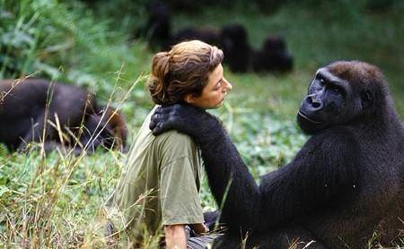 在相关计划里,如果他们能培育出"半兽人",意味着能够获得一支大脑相较