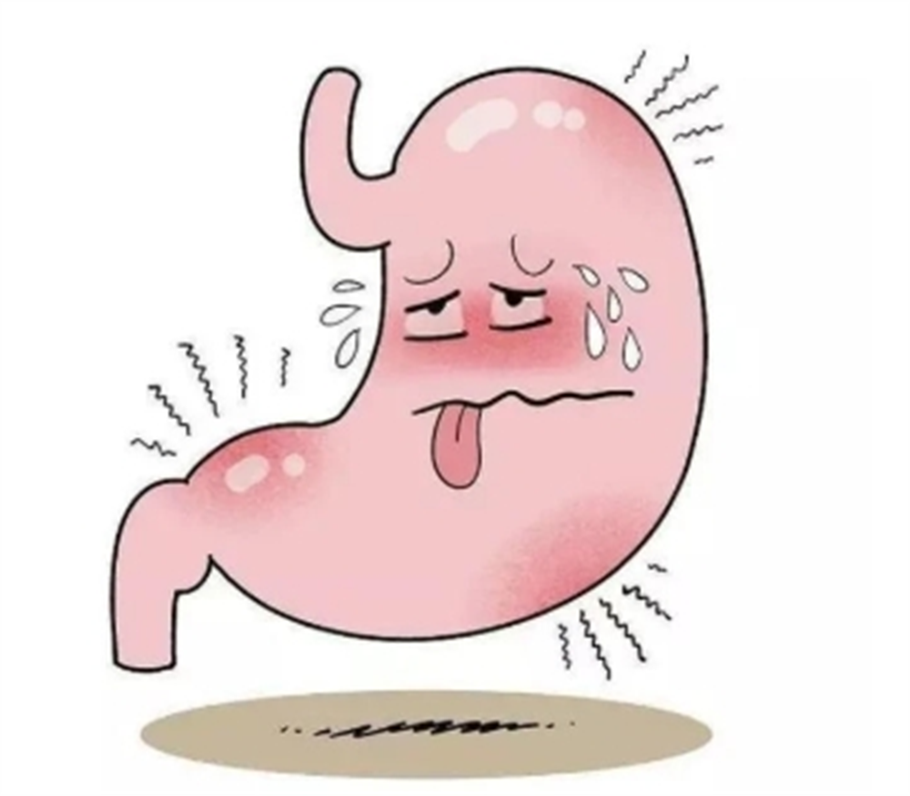 节后脾胃不适?新春调理"五步走",让你元气满满过新年!