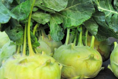 赶紧收藏,有空试试~_大头菜_解毒_维生素