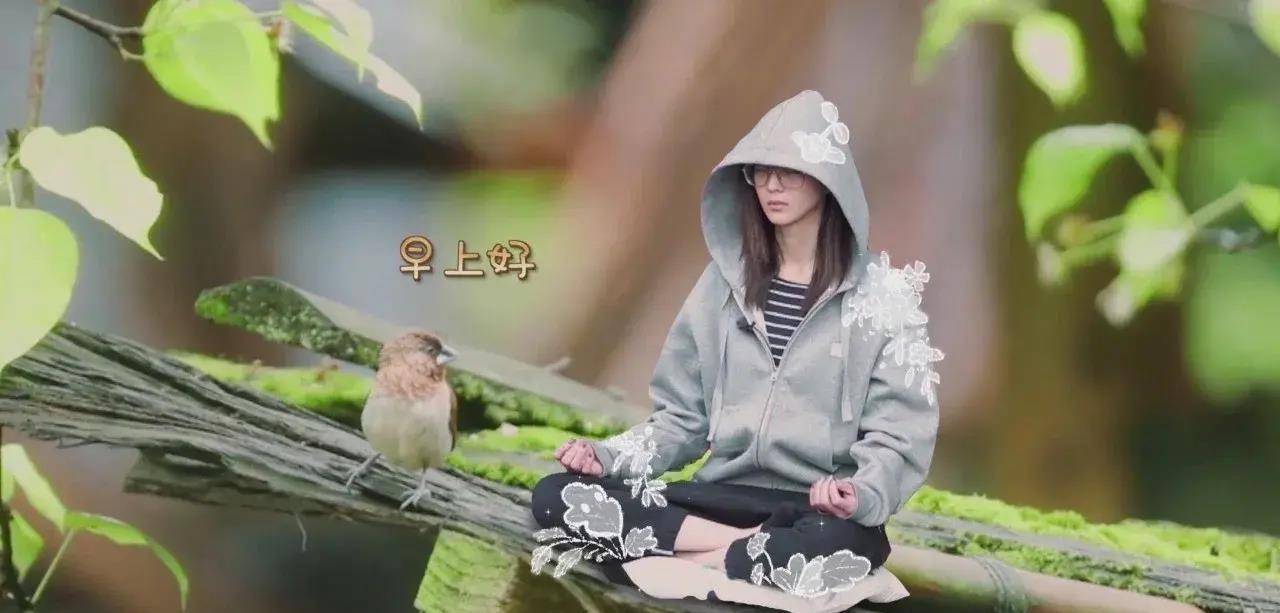 "学霸vs美人",41岁的她还是个演技派,自律的人生更抬咖加魅力_张钧甯