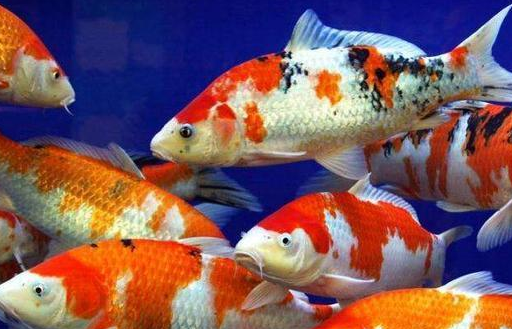 温度_生活_疾病