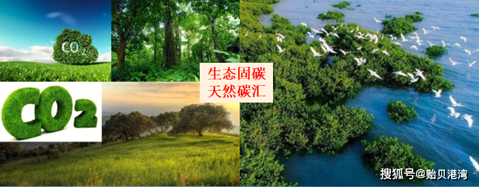 浅谈碳捕获,运输,利用和储存_二氧化碳_大气_全球