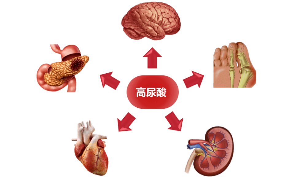 5-Amino-1MQ During | Shaanxi BLOOM Tech Co., Ltd 5-Amino-1MQ During | Shaanxi BLOOM Tech Co., Ltd