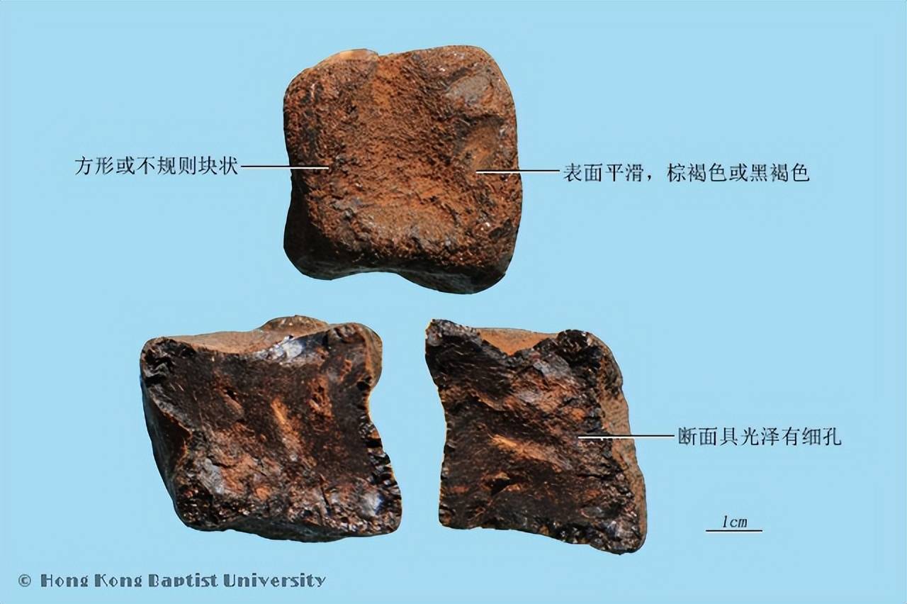 儿茶的功效与作用 来自搜狐网
