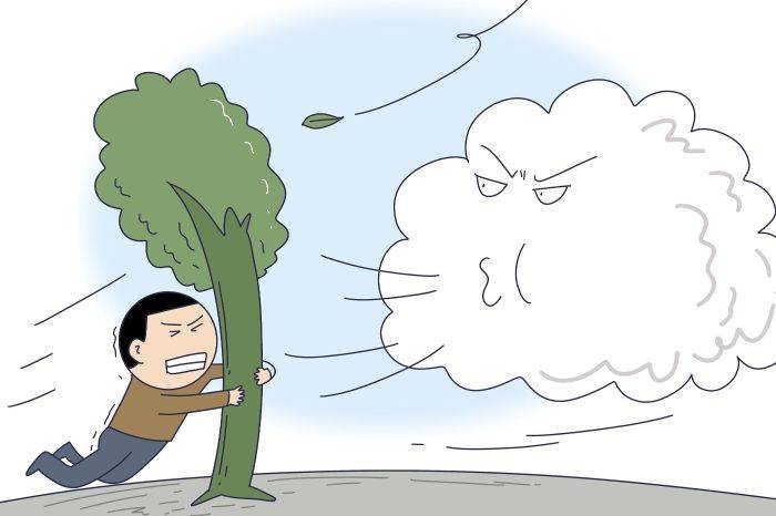 贵阳一地出现10级大风!_威清路街道_信号_预警