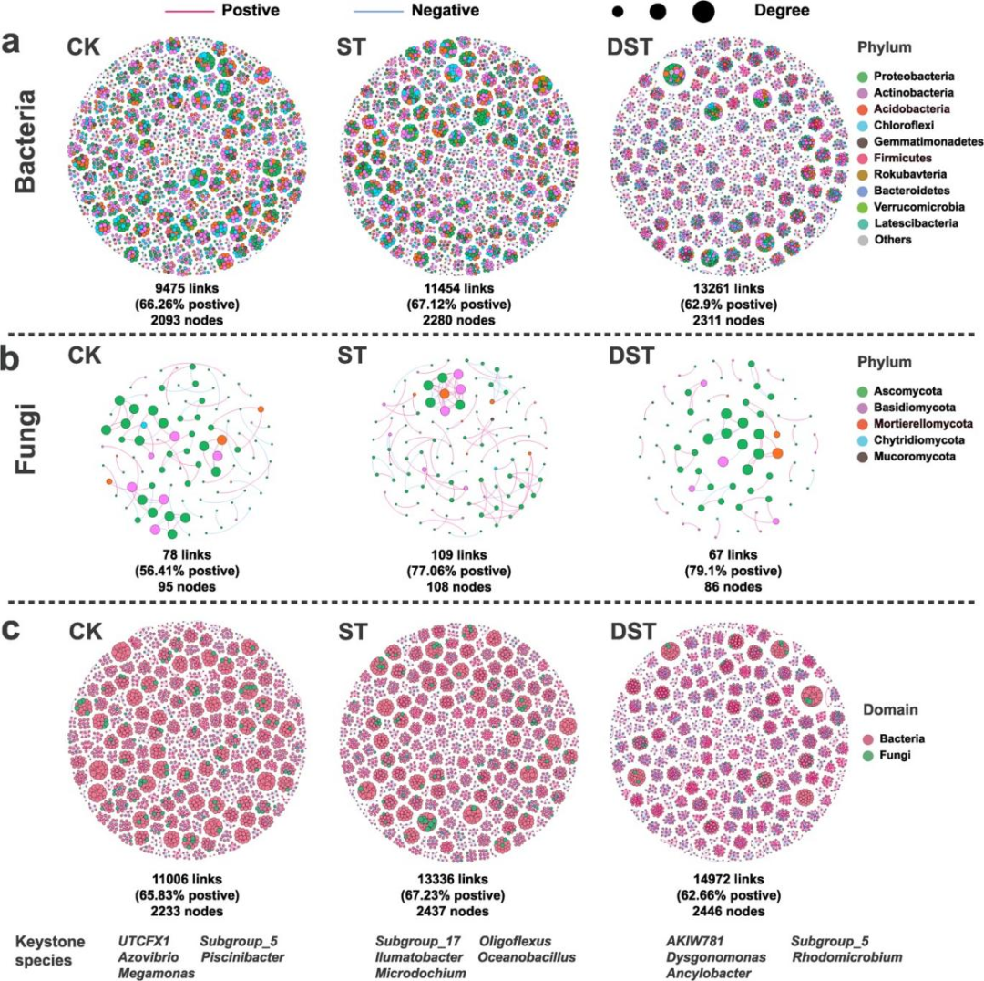 7! 代谢组 微生物组助力苹果镉胁迫缓解机制研究_处理_叶片_提高了