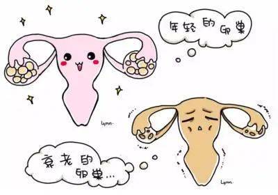更年期不治疗,咬牙挺过去的危害你知道吗?_女性_性激素_身体