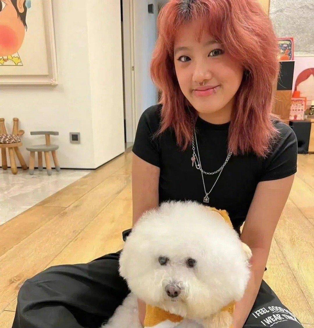 梧桐妹喜欢穿洞戴9个环引热议,贾静雯曾回应称,不会劝女儿什么_网友