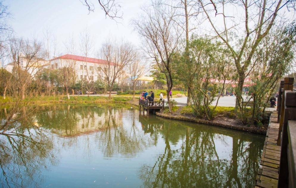 上海宝山友谊公园十分美丽_娱乐_游客_景点