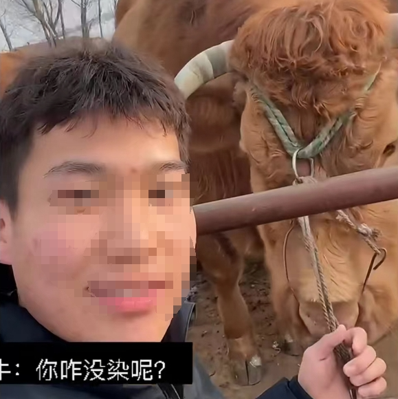 黑龙江:小伙烫头发妈妈说"和牛一样",小伙不信:一