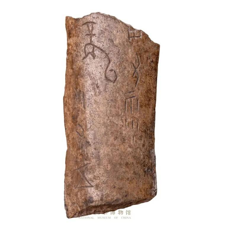 玉龙由墨绿色岫岩玉雕琢而成,头部长吻修目,体蜷曲呈"c"字形,龙身大部