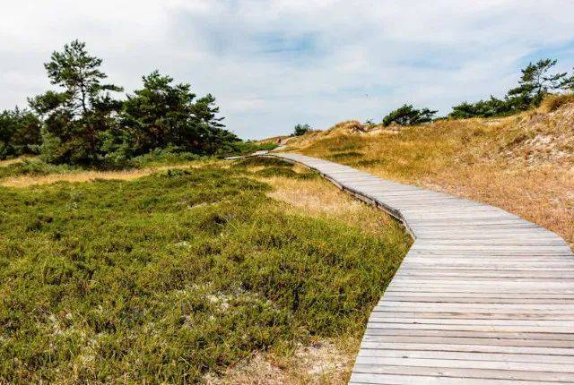 父亲的春天(诗二首) | 王桂田_棉袄_那大_宿州