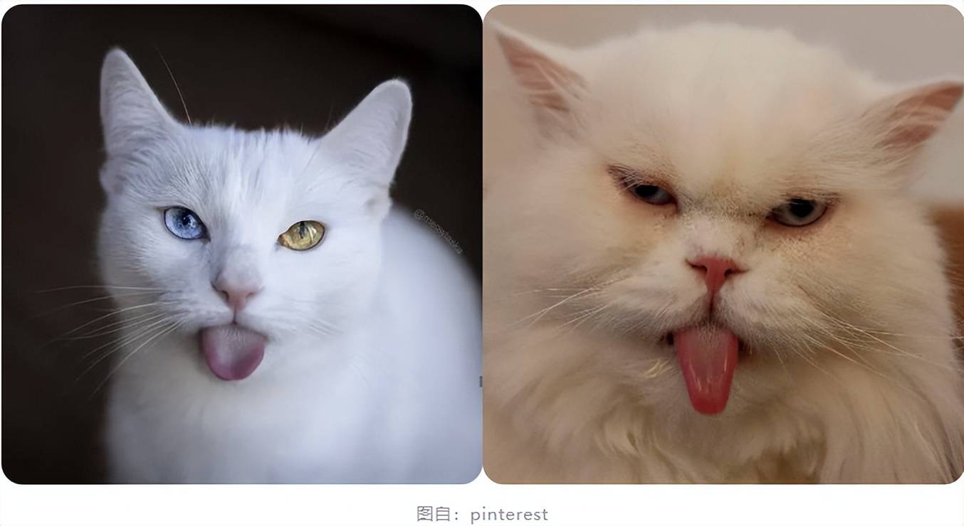 也就造成了明明是同一个表情,但给人感觉的不同.