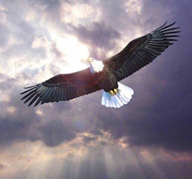 12000米试飞故障,8分钟生死速降,中国飞行员拒绝跳伞带回样机_梁万俊_