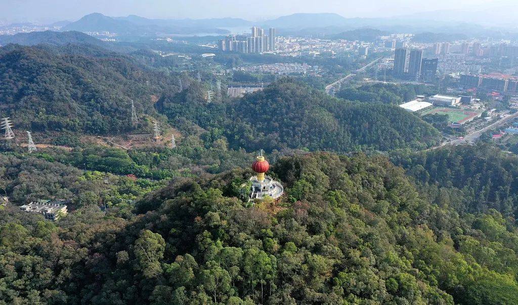 香蜜湖3大公园 莲花山公园,上梅林公园,下梅林公园6大福田旗舰深圳