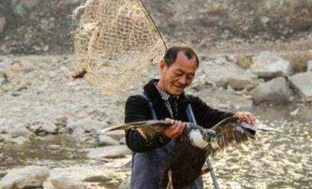 因此王承德选择了养殖业,王承德将全部的资金投入到饲养野鸡与毛驴之