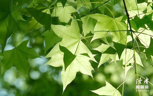 永远不要向任何人证明自己_吴京_谢楠_因为