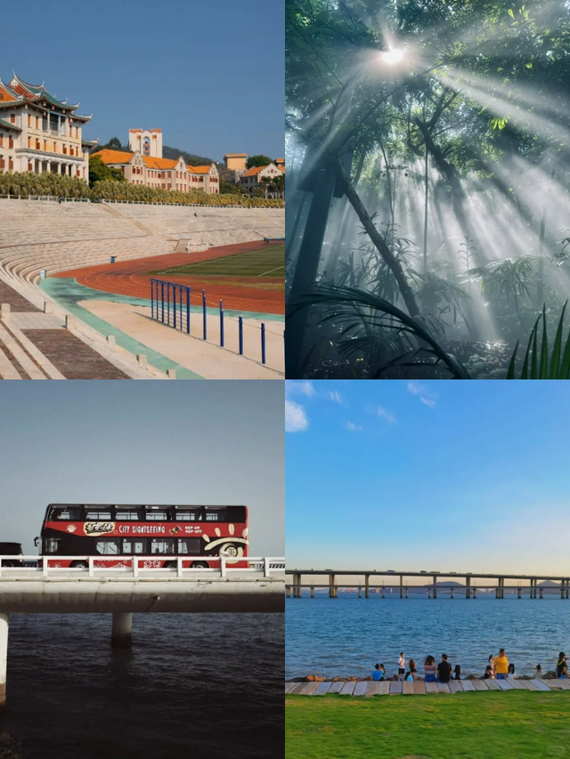 厦门本地导游阿霞教你高效不绕路玩法_day_鼓浪屿_电器