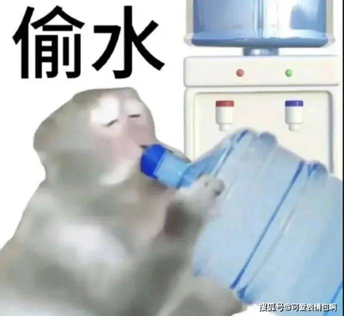 3035383532符合我精神状态的表情包