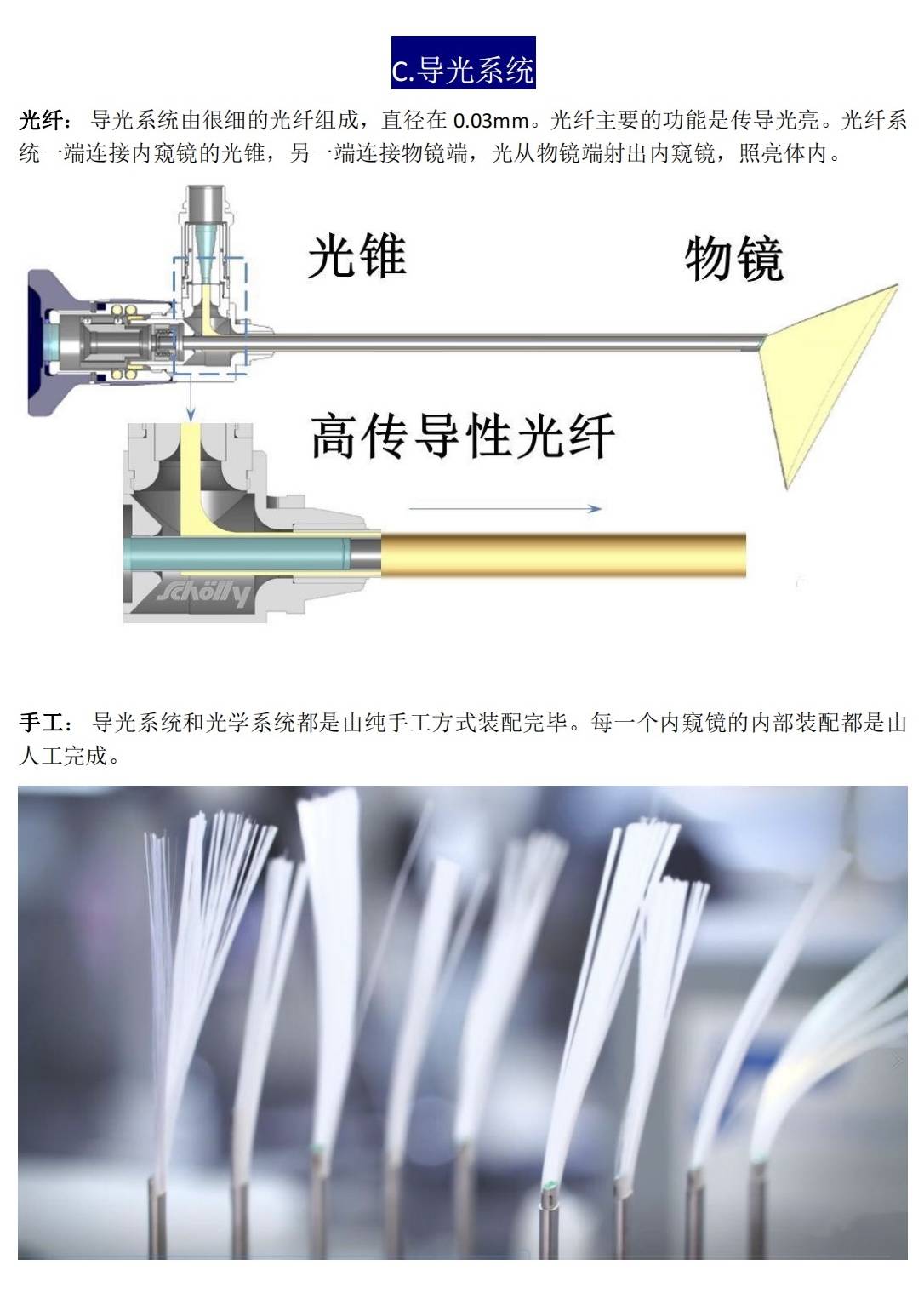 电子内窥镜结构图片