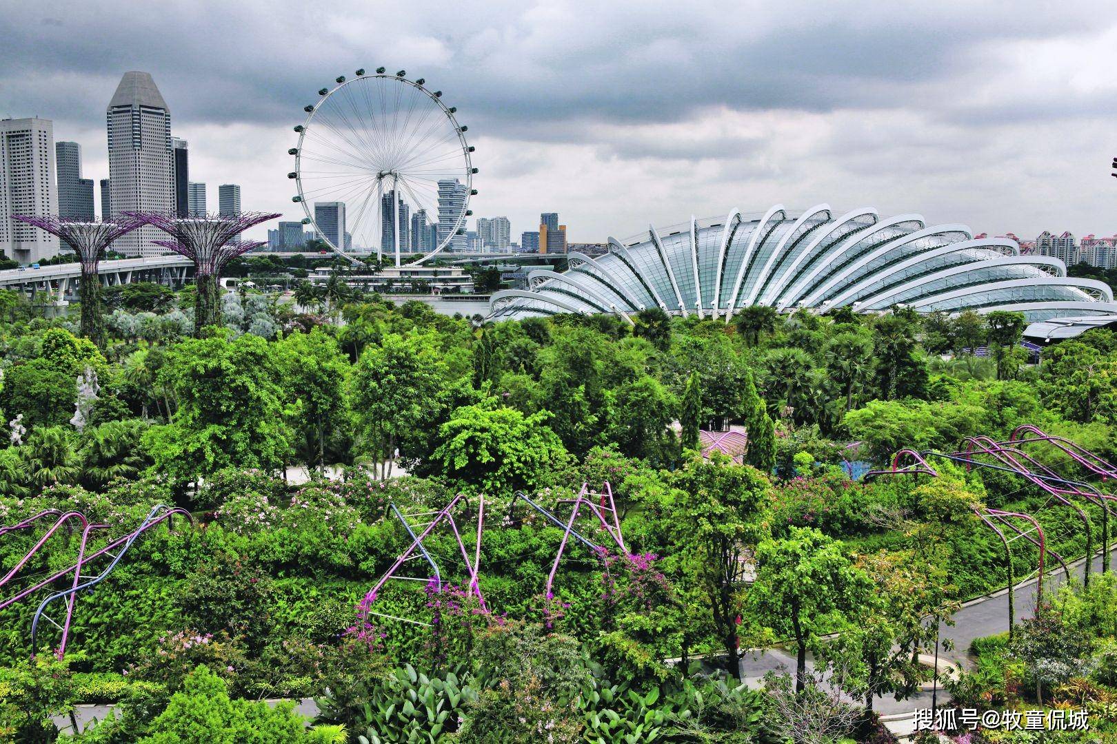 新加坡植物园简介图片
